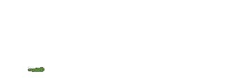 1000xBet logo