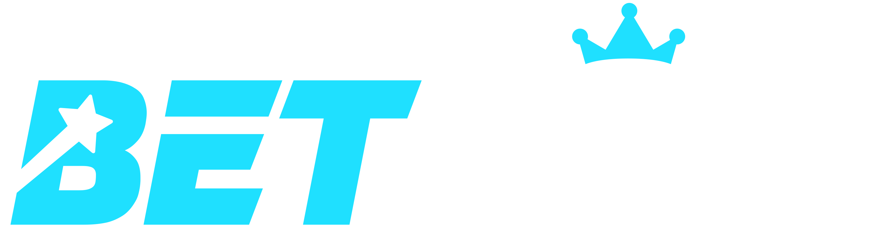 Betkom logo
