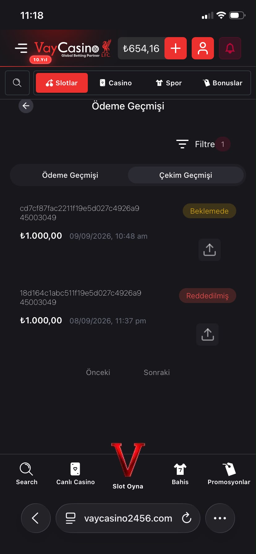 Kanıt görseli